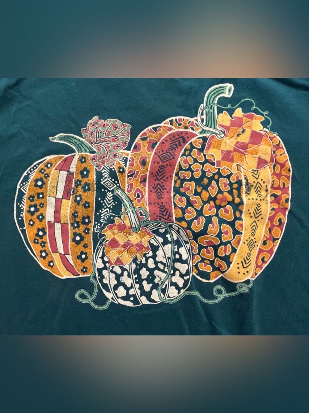 🫟2 FOR $10🫟 Rustic Spirit Tee - Picture 2 of 3